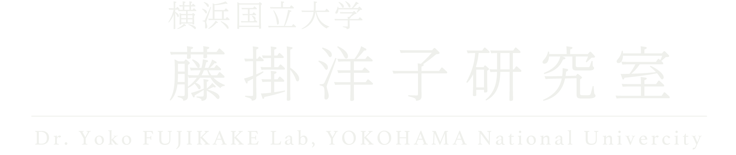 14年度卒業生氏名 論文タイトル 要旨 藤掛洋子研究室 横浜国立大学